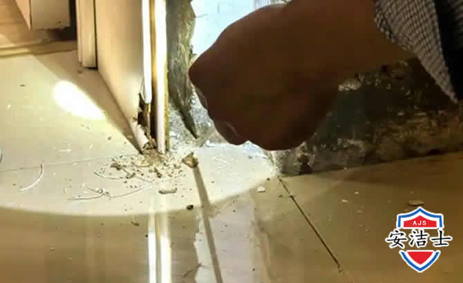 定安房屋建筑防治白蚁