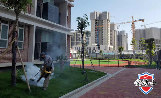 定安工厂工地除白蚁