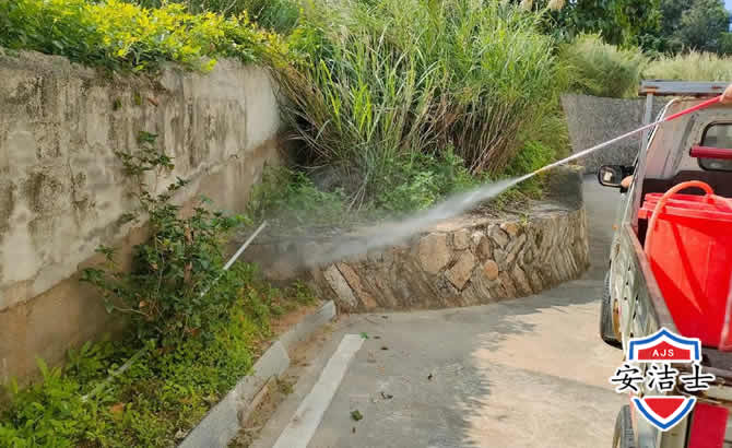 定安道路堤坝白蚁防治