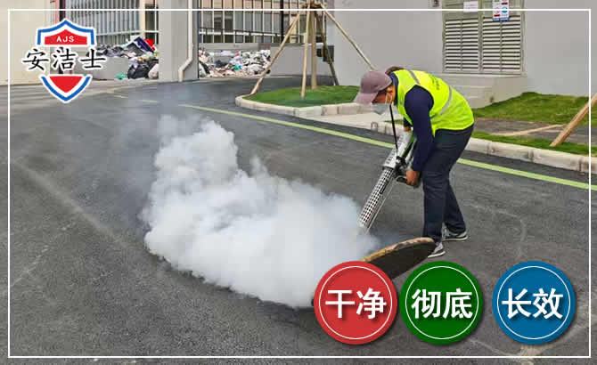 定安消杀防疫现场