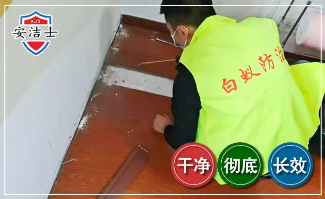 定安除四害现场