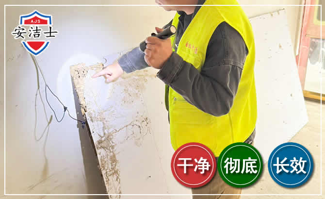 定安除白蚁现场